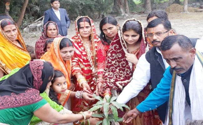 बेटी की अनूठी पहल : मेहंदी की रस्म पर पौधे लगा मायके वालों को दी देखरेख की जिम्मेदारी