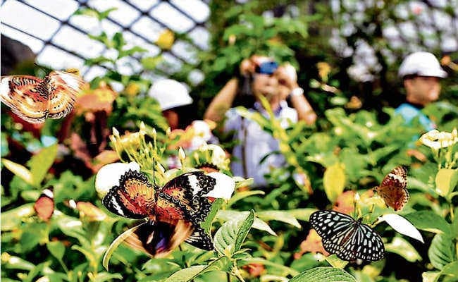 जमशेदपुर :  शहर से बाहर शिफ्ट किया जायेगा टाटा जू