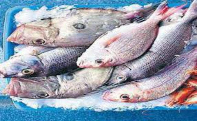 बिहार में आंध्र की मछलियों से बैन हटा, जांच के लिया गया फैसला