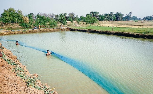 बिहारशरीफ : कभी नौकरी को तरसते थे, आज लाखों का है व्यवसाय, कई लोगों को दे रहे हैं रोजगार