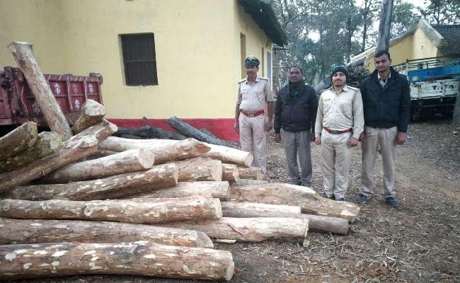 चौपारण : लोहरा के जंगल से भारी मात्रा में लकड़ी का बोटा बरामद