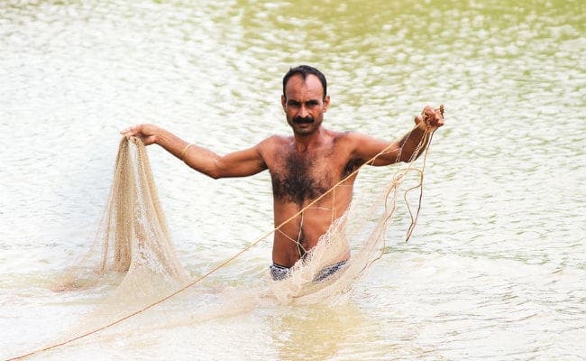 मछली पालन से बदल रही है किसानों की जिंदगी