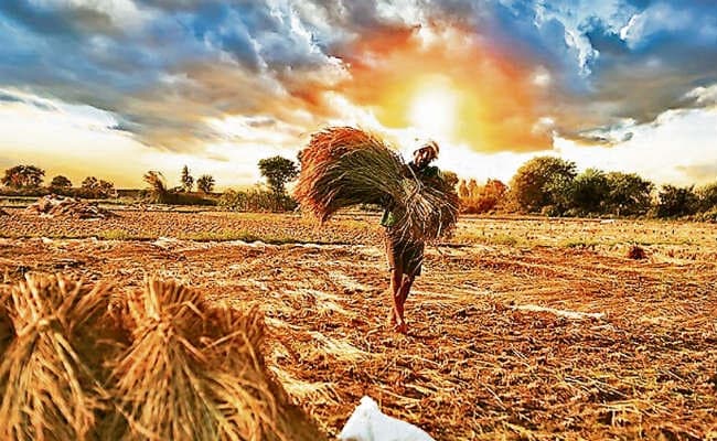 किसानों की परवाह करती सरकार, अंतरिम बजट में छोटे किसानों को वित्तीय राहत