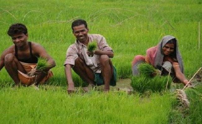 एक मार्च से पहले किसानों के खाते में जायेंगे पहली किस्त के दो हजार रुपये
