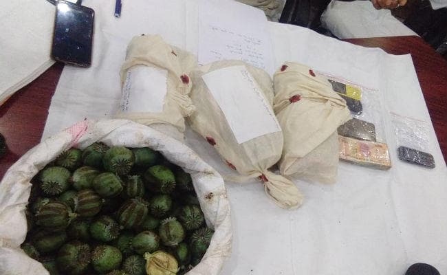 कामडारा में 55 डिसमिल खेत में अफीम की फसल नष्ट, दो किलो डोडा बरामद