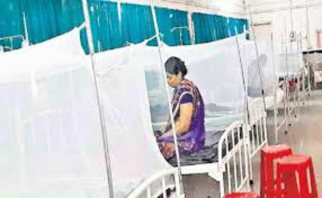 जमशेदपुर  :  भुइयांडीह ब्राह्मण टोले में जाॅन्डिस व मलेरिया का प्रकोप, दर्जनों बीमार