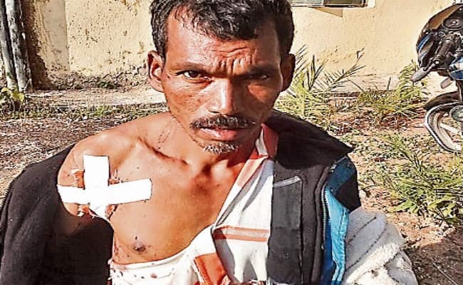 कर्रा : भालू के हमले में एक की मौत, तीन जख्मी