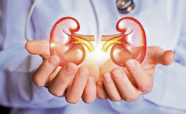 कुछ सावधानियां बरत किडनी रोग से बचें