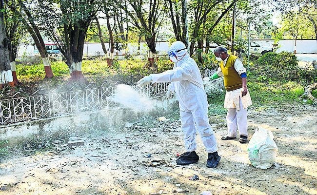 जहानाबाद में भी बर्ड फ्लू का मामला सामने आया, हाई अलर्ट जारी