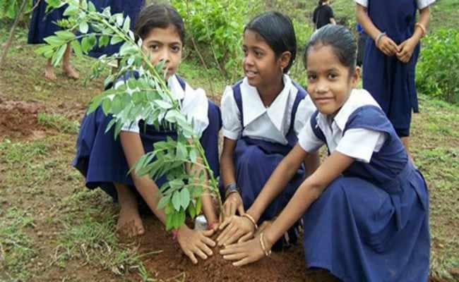 पेड़-पौधे लगाने में सबसे आगे हैं भारत और चीन : नासा