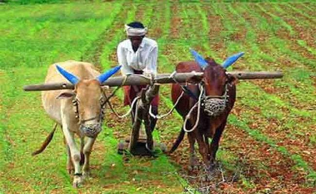 बिहार बजट : बोले किसान, सरकार पैदावार बढ़ाने पर दे रही है जोर, पर बाजार नहीं