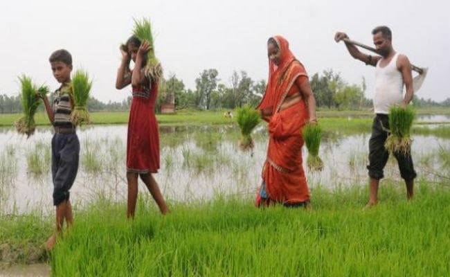 बिहार बजट : समाज कल्याण विभाग को पहले से 197.91 करोड़ ज्यादा का मिला बजट, किसानों के खाते में गये 1172 करोड़