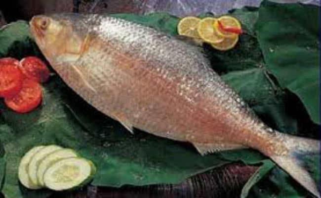 कोलकाता :  तो सहजता से दो वक्त खाने को मिलेगी हिल्सा