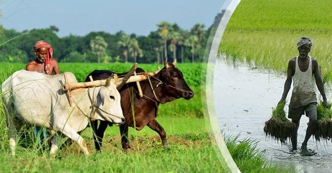 कृषक बंधु योजना के लिए 4150 करोड़ आवंटित