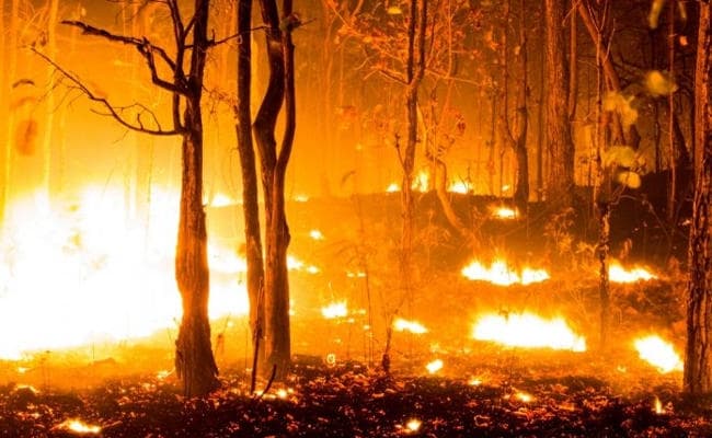 स्पेन में 50 जगह लगी आग