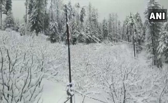 शिमला, कुफ्री, डलहौजी में ताजा बर्फबारी से कई इलाकों में तापमान गिरा