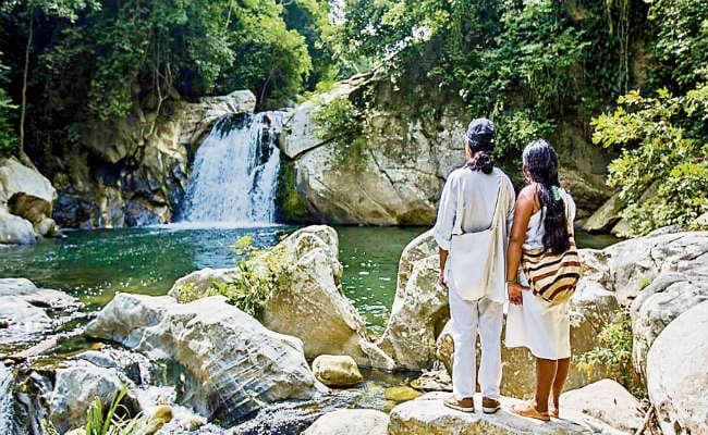 सभ्यता का पथ जो वन को जा रहा है