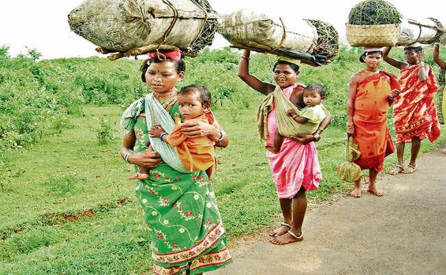 लाखाें आदिवासी जंगल से होंगे बेदखल