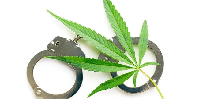 छह किलो गांजा संग दो गिरफ्तार