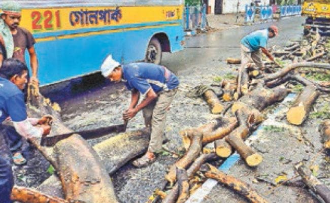 इस साल मॉनसून रहेगा सामान्य, ‘नॉर्वेस्टर’ ने कोलकाता में दी दस्तक, तेज हवा के साथ बारिश