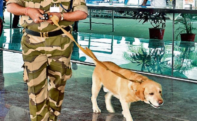 भारत और पाकिस्तान के बीच तनाव : रांची एयरपोर्ट पर पुख्ता सुरक्षा, हर आने-जानेवाले की हो रही जांच