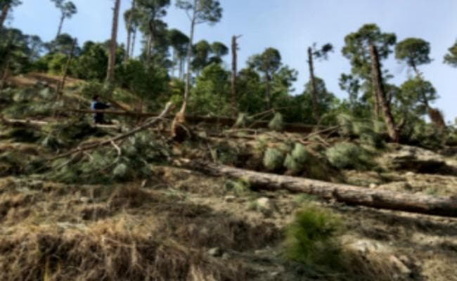 भारतीय वायु सेना के पास एयरस्ट्राइक के सुबूत मौजूद, synthetic aperture radar की हैं तसवीरें, सरकार कर सकती है जारी