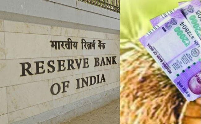 RBI ने 31 मई तक बढ़ायी फसल ऋण पर ब्याज सहायता योजना की समयसीमा