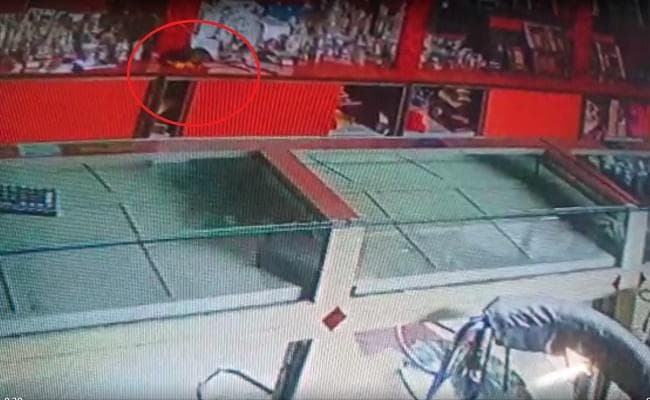 बिहार में ज्वेलरी शॉप से अब ''चूहे'' गायब करने लगे है बेशकीमती हीरे, देखे... VIDEO