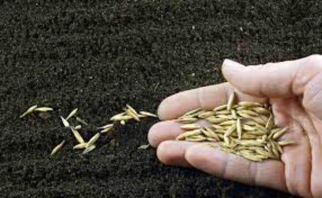 बीज उत्पादन में बिहार बनेगा आत्मनिर्भर