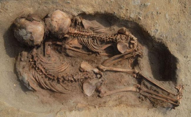 पेरू में मिली बड़ी कब्रगाह, सैकड़ों बच्चों और पशुओं की बलि का खुलासा