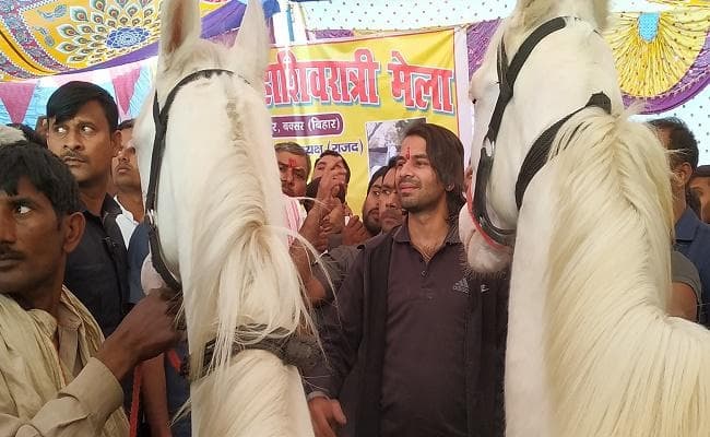 तेज प्रताप को ब्रह्मपुर पशु मेले से पसंद आया घोड़ा, अस्सी हजार में खरीद लौटे