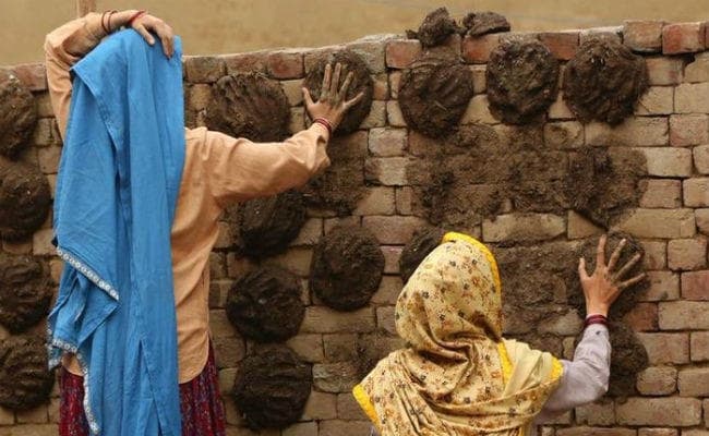 एक्ट्रेस तापसी पन्नू दीवार पर ठोक रही है गोईठा, आपने देखा क्या