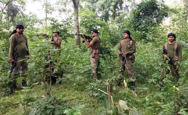 जंगल में मिला मौत का जखीरा, सर्च ऑपरेशन के दौरान सुरक्षाबलों को मिले दो शक्तिशाली बम
