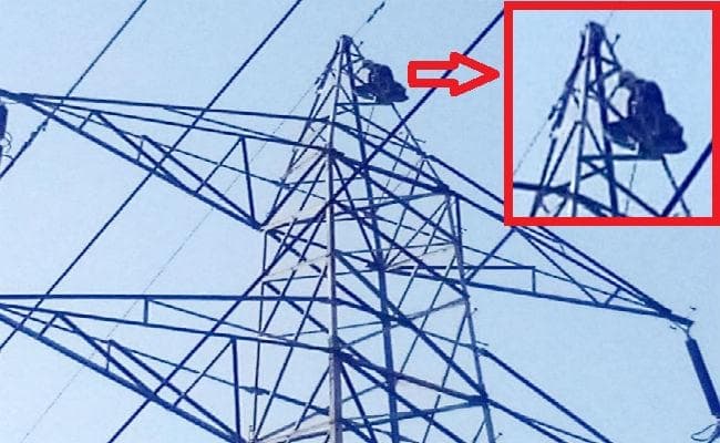 ''वीरू'' से झगड़ा कर खुदकुशी के इरादे से बिजली के टावर पर चढ़ गयी ''बसंती'', नीचे उतारने में पुलिस के छूटे पसीने