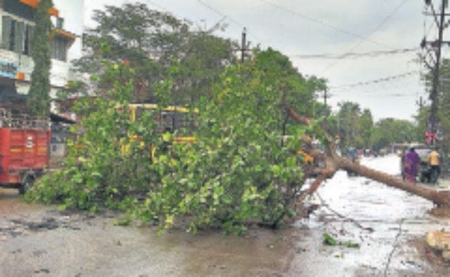 बारिश के बाद सामान्य से पांच डिग्री गिरा तापमान, आज दोपहर से साफ हो जायेगा मौसम, आंधी-पानी वज्रपात से छह की मौत