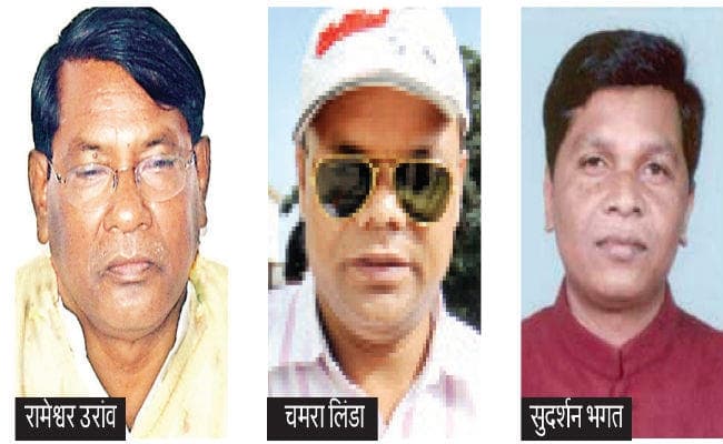 लोकसभा 2014 में विशुनपुर ने लगायी थी भाजपा प्रत्याशी की नैया पार