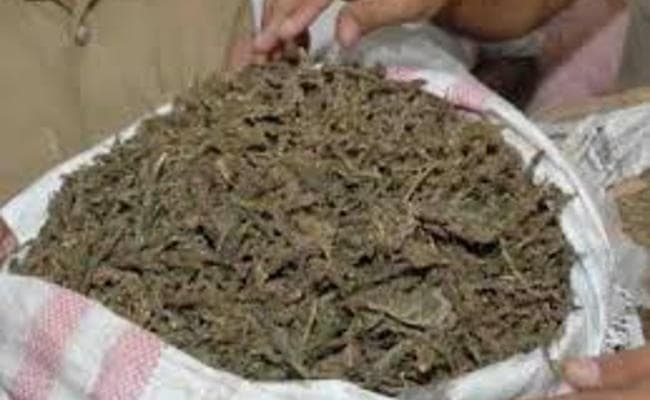 ट्रक में भरकर 800 किलो गांजा कोलकाता से ले जा रहे थे बिहार, चार गिरफ्तार