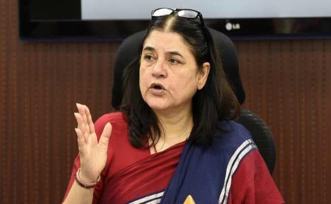 मेनका गांधी ने सुल्तानपुर के लोगों को याद दिलाया अपना पुराना रिश्ता, कहा मेरे राजनीतिक जीवन की शुरुआत यहीं से हुई