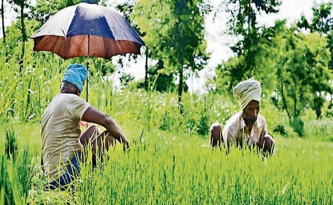 नये किसानों को नहीं मिलेगा योजना का लाभ