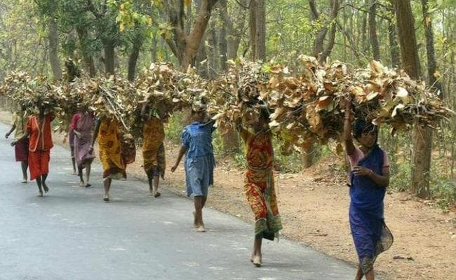 जो वन अधिकार की बात करेगा, वही 133 लोस सीटों पर राज करेगा