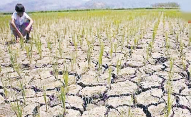 पटना : चुनाव में सूखे पर हो चर्चा, आस लगाये हैं सूबे के किसान