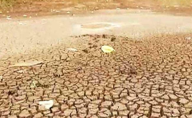 बिहार में इस साल भी सूखे जैसे हालात, पिछले साल से 534 में से 280 प्रखंड सूखाग्रस्त घोषित हुए थे
