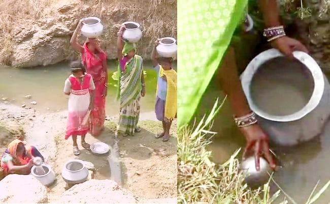 बांका में एक ही तालाब से पानी पीते हैं ग्रामीण और जानवर, कई लोगों की हो चुकी है मौत