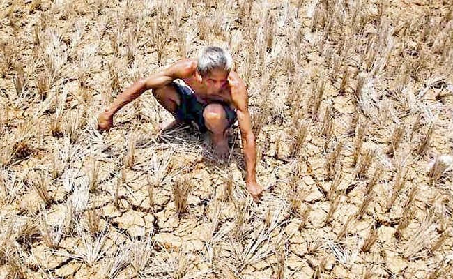 केंद्र सरकार ने दी अनुमति, झारखंड में 272 करोड़ खर्च होंगे सूखा राहत पर