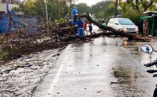 पटना : आंधी-पानी व ओला गिरने से तबाही, 11 लोगों की मौत, गेहूं, आम व लीची को नुकसान