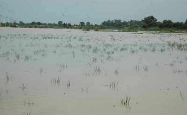 580 एकड़ में लगी फसल डूबी, कर्ज लेकर किसानों ने की थी खेती