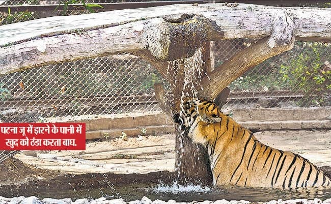 पटना शहर का पारा 40 डिग्री पर टिका, गया सबसे गर्म