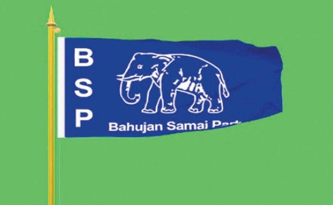 बसपा कार्यकर्ताओं को पसंद आ रहा झंडा, राजस्थान व दिल्ली से आया हाथी मिल रहा 15 रुपये में