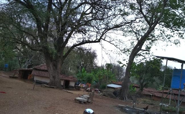 Khunti से ग्राउंड रिपोर्ट : लोकसभा चुनाव में क्या है पत्थलगड़ी के बाद अशांत हुए घाघरा गांव के लोगों का मूड Khunti से ग्राउंड रिपोर्ट : लोकसभा चुनाव में क्या है पत्थलगड़ी के बाद अशांत हुए घाघरा गांव के लोगों का मूड