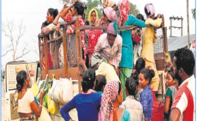 दूसरे बागानों में काम करने को मजबूर श्रमिक